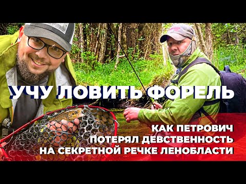 Видео: Форелевая рыбалка на дикой речке. Рыбалка в Ленинградской области. Ловля ручьевой форели.