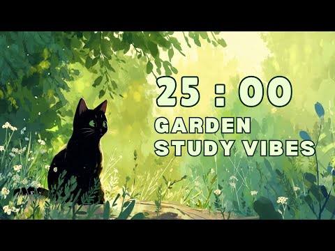 Видео: 25-Минутный Весёлый Лоу-Фай Таймер 🌿 | Фокус с Чёрным Котом