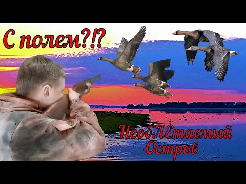 Видео: Весенняя Охота на ГУСЯ и Селезня с Братом на НЕОБИТАЕМОМ ОСТРОВЕ/Крайне сложная заброска в угодья