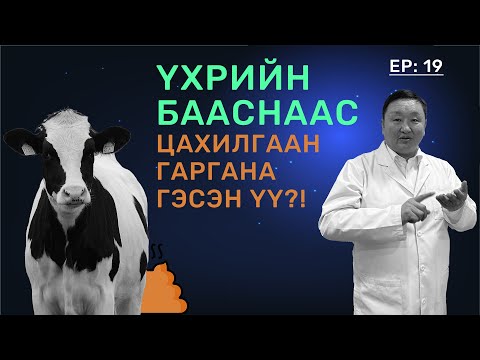 Видео: 🔍 ШУ-ны хялбаршуулсан нийтлэл Ep: 19 Био Энерги - | Физикийн ухааны доктор, Н.Тэгшбаяр