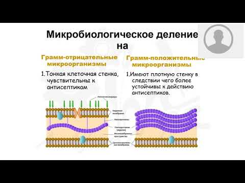 Видео: Вебинар - антисептическая обработка.