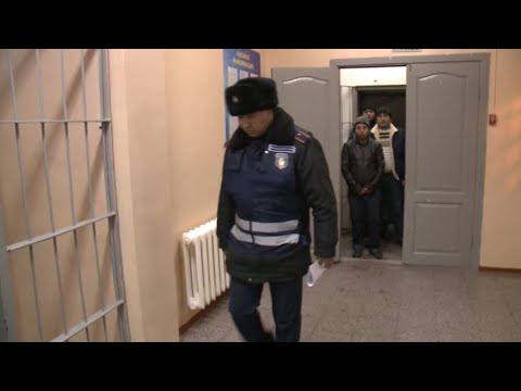 Видео: Көші-қон заңнамасын бұзған 90 мыңға жуық шетелдік жауапқа тартылды