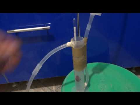 Видео: Самодельный попугай. Почти даром!!!