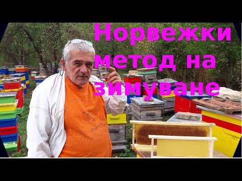 Видео: Норвежки метод на зимуване в кошер Удав