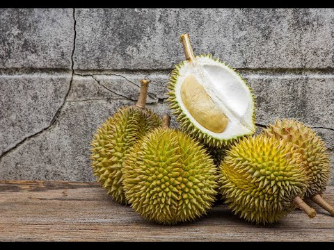 Видео: Экзотический фрукт Дуриан / Exotic Durian fruit