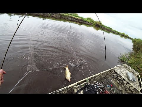 Видео: Паук, подъёмник как всегда не подвел.Рыба всякая и много.