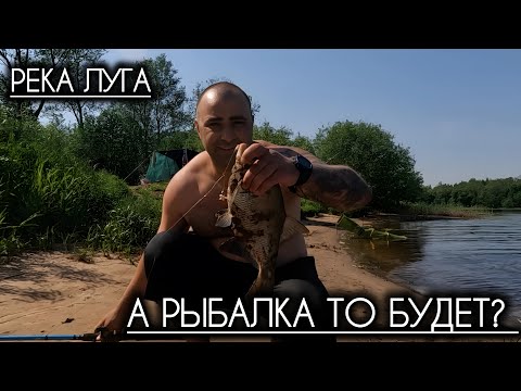 Видео: Река Луга раздает рыбу / Рыбалка на донки / Донки Nautilus