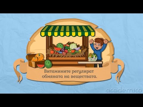 Видео: Храна и здравословно хранене -  Човекът и природата 5 клас | academico