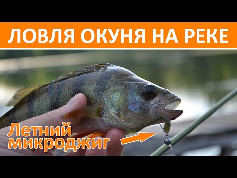 Видео: Утренний летний микроджиг ❘ Ловля окуней на реке на микроджиг ❘ Часовая рыбалка перед работой