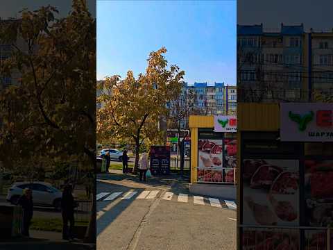 Видео: ящик для сбора одежды, мясо и стоянка в Алматы #walkingtour