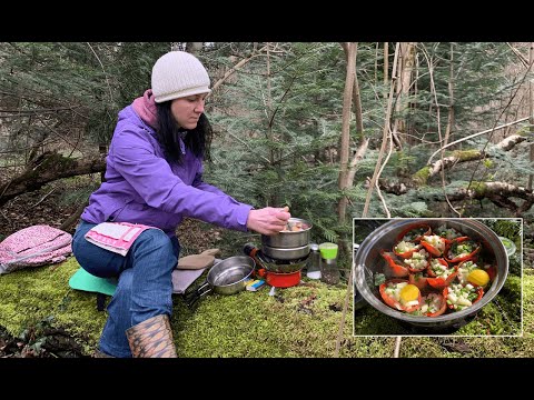Видео: Готую у лісі (серія 9). Збираю та готую фаршировані гриби в лісі/SARCOSCYPHA / ASMR