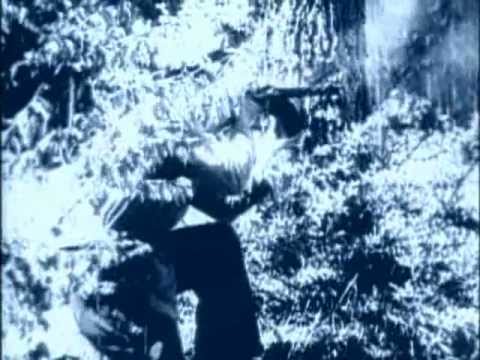 Видео: Ударная сила: Личное оружие Макарова [033]