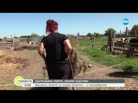 Видео: „Богатата Мария“: Майка на 4 деца отглежда над 200 овце и телета, но няма право на помощи