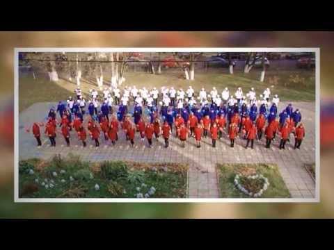 Видео: ГБОУ СОШ №687 LIP DUB