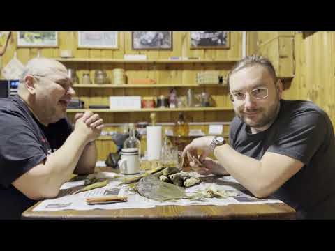Видео: Про кино (не автомобильная тематика, просто застольный разговор).