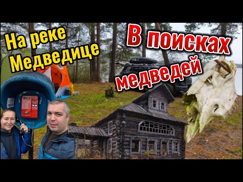 Видео: Ночь в тёплой палатке, ждём медведя в гости. Красота реки Медведицы