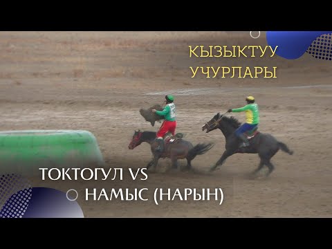 Видео: "Токтогул" ж.а "Намыс"(Нарын) кызыктуу учурлары жана буллит