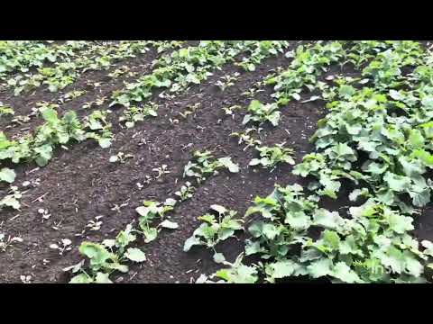 Видео: 24 октября 2025 г.