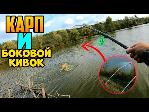 Видео: ДУМАЛ ПОЛОМАЕТ УДОЧКУ! ЛОВЛЯ КАРПА НА БОКОВОЙ КИВОК  рыбалка на карпа