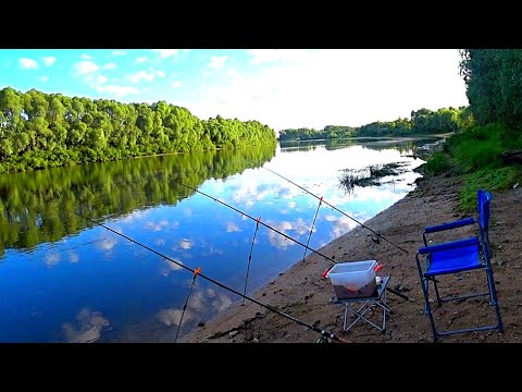 Видео: ЛЕЩ на кукурузу и сало! Рыбалка с ночёвкой! Рыбалка на ДОНКИ на ОКЕ !