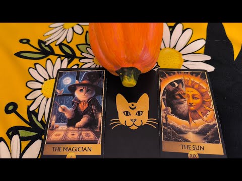 Видео: Магичните котки говорят.... Какво предстои в ЛЮБОВТА 💞💜💥♥️🔥 #тарокарти