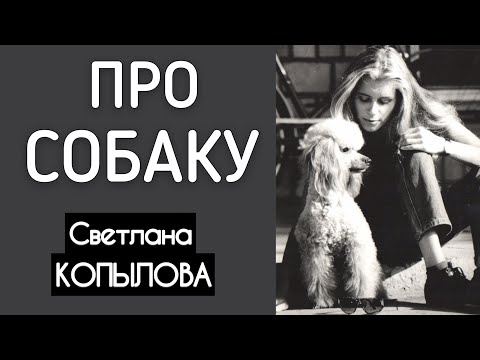 Видео: Только собаки способны на такое! Песня-притча «ПРО СОБАКУ» Автор - исполнитель - Светлана Копылова