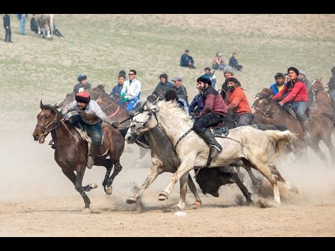 Видео: Сух купкари улок ако "Масъуд хожи" 20-02-2022