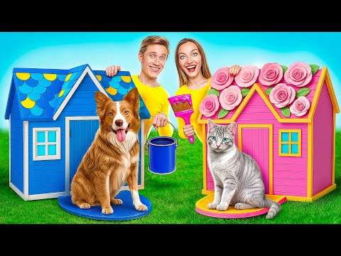 Видео: Домики Одного Цвета Челлендж с Собакой и Котиком от Multi DO Smile