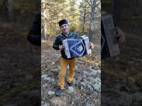 Видео: Тип йэрэгем | Илдус Шайдуллин