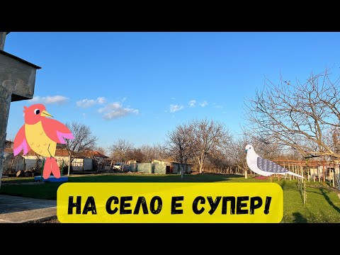 Видео: Къща на село 2023. Догодина повече!