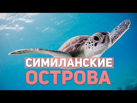 Видео: С Пхукета на Симиланы. Экскурсия на острова #симиланы #экскурсия