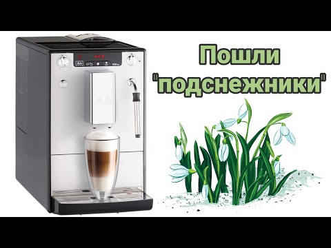 Видео: Пришла весна, приехали на дачу, а там кофемашина потекла...