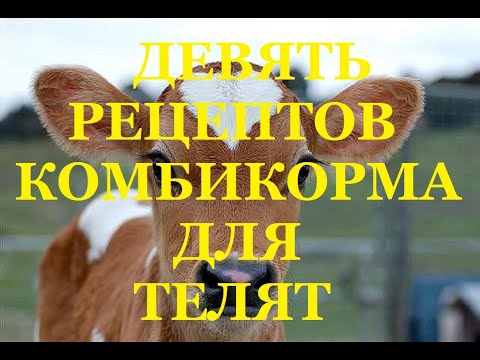 Видео: Девять рецептов комбикорма для телят