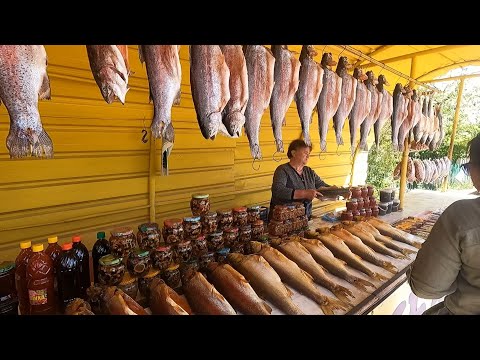 Видео: ОТДЫХ НА ИССЫК-КУЛЕ | Купаемся в горячих источниках, пьём Кумыс и кушаем вкусный шашлык из баранины