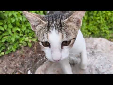 Видео: Я на отдыхе.