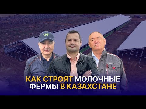 Видео: Самая крупная молочная ферма в Карагандинской области — ТОО Рамадан