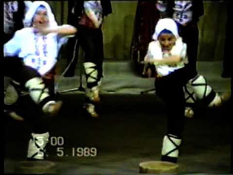 Видео: АНС. ДОБРУДЖАНЧЕ ГР. СИЛИСТРА. Р-Л ИВАН ИВАНОВ. 1