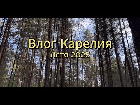 Видео: ВЛОГ КАРЕЛИЯ (семья, друзья, купания и день рождения)