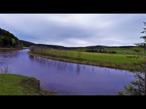 Видео: Небитое Урочище. Накопал шмурдяка и немного денег)) часть 2/2