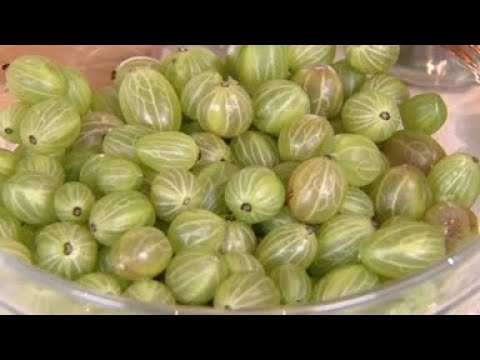 Видео: Малосольные огурцы. Маринованный чеснок. Чатни из крыжовника