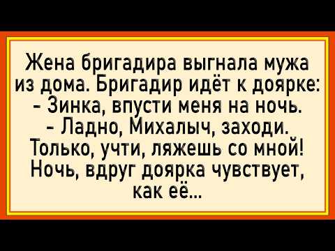 Видео: Как бригадир ночью доярке 3асаguл! Сборник свежих анекдотов! Юмор!