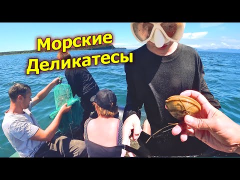 Видео: Рыбалка и отдых на море. В погоне за морскими деликатесами. Ловим ракушку креветку и крабиков.