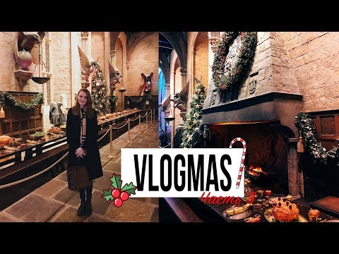 Видео: СЕКРЕТ СЛИВОЧНОГО ПИВА | ТУР ПО ХОГВАРТСУ | VLOGMAS #3
