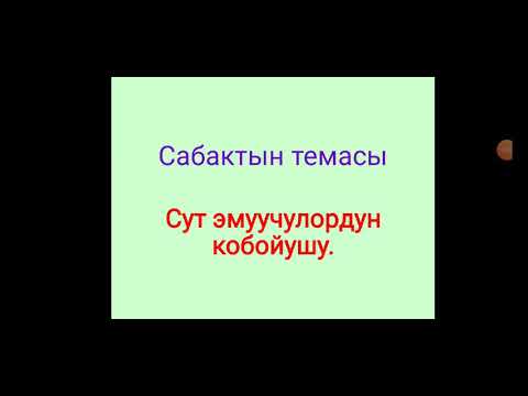 Видео: Сут эмуучулордун кобойушу.7