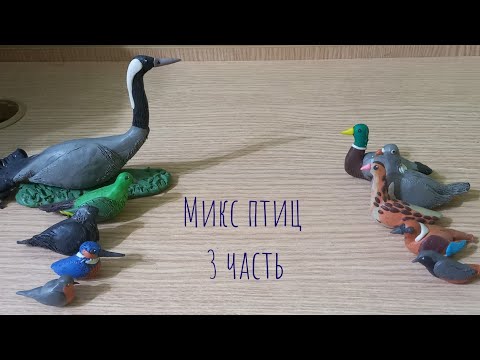 Видео: МИКС ПТИЦ! 3 часть! Лепим разных диких птиц.