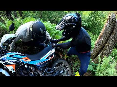 Видео: Жемчужина Сибири. Эндуро. Своим ходом 140+. Racer Panther lite. 22.07.21.