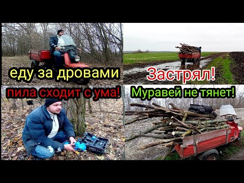 Видео: ЕДУ ЗА ДРОВАМИ - Муравей и пила творят чудеса!