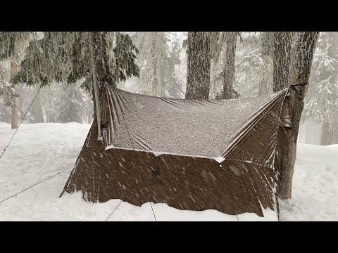 Видео: Зимний гамак с горячей палаткой Кемпинг | Песто из курицы в дровяной печи Альфредо
