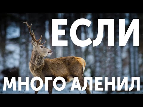 Видео: КАК ВЕРНУТЬ БЫВШУЮ, ЕСЛИ МНОГО И ДОЛГО АЛЕНИЛ. ВОЗВРАТ БЫВШЕЙ ПОСЛЕ АЛЕНИЗМА. ВЕРНУТЬ ДЕВУШКУ КАК!?