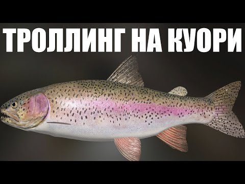 Видео: ТРОЛЛИНГ НА КУОРИ в РР4. Фарм серебра на Куори в Русская Рыбалка 4